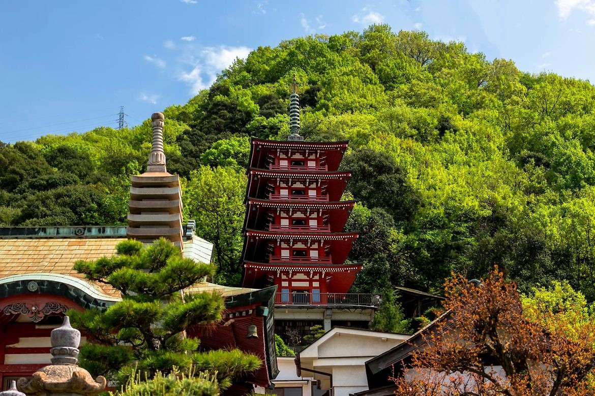 萬願寺（まんがんじ）