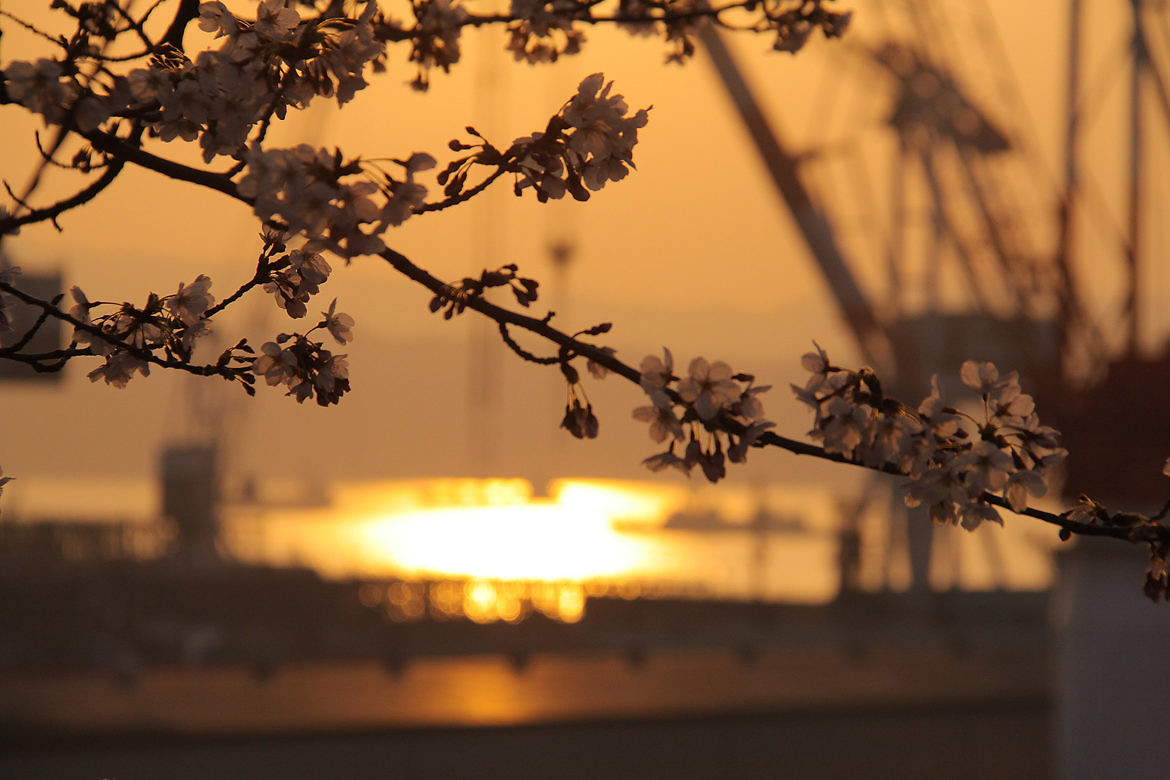 Gallery: Spring 2018