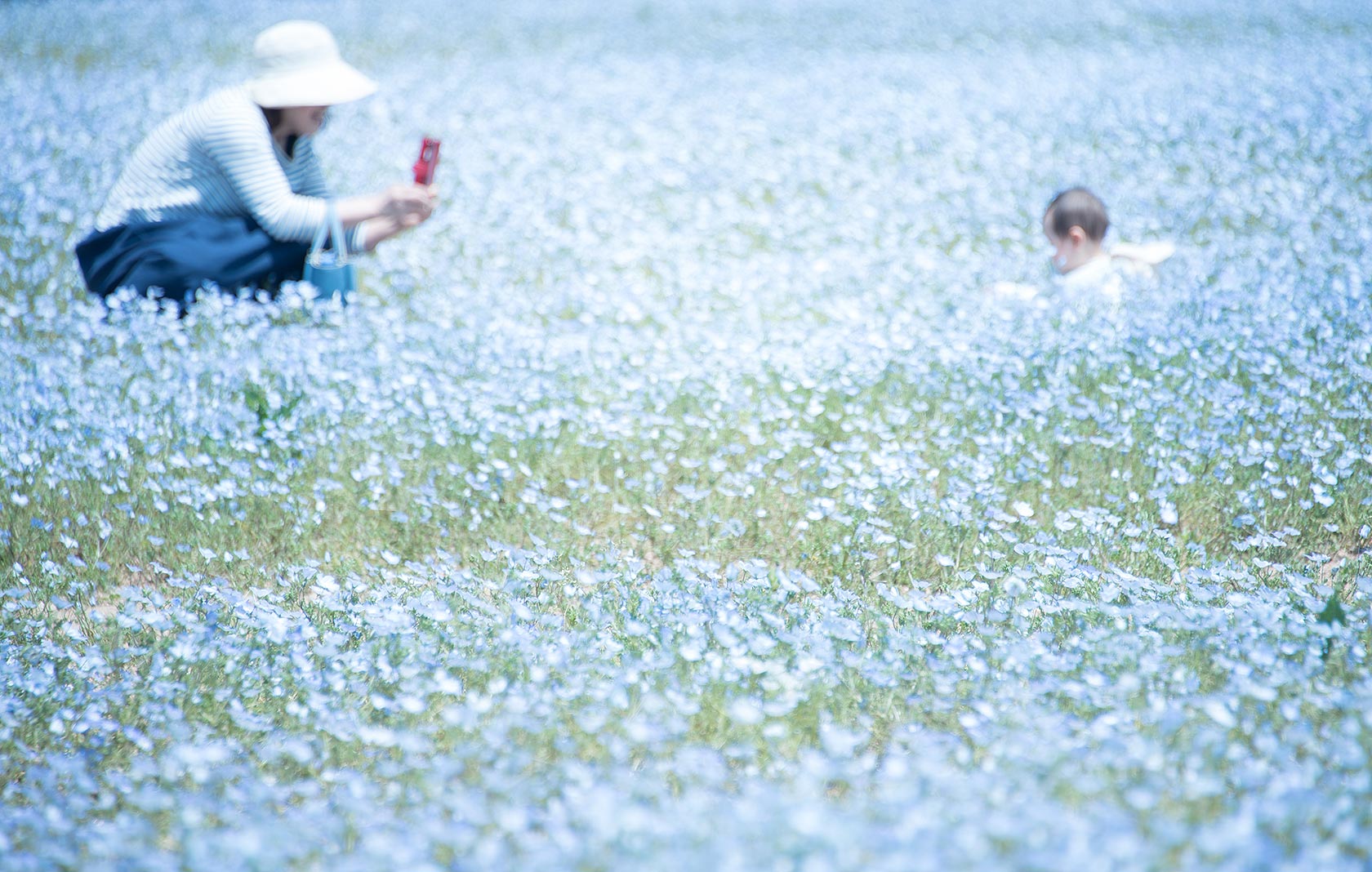 Photography by Tomoe Kobayashi